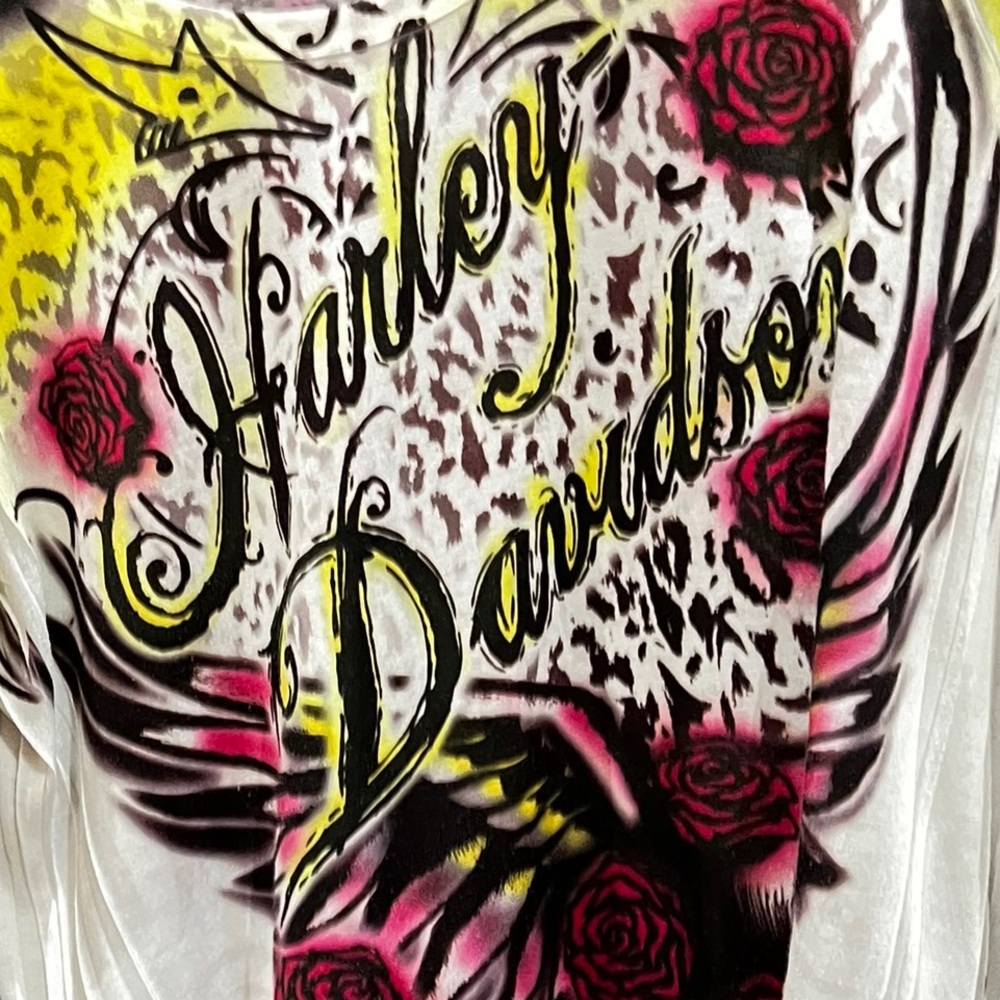 Colorful Harley Davidson LS